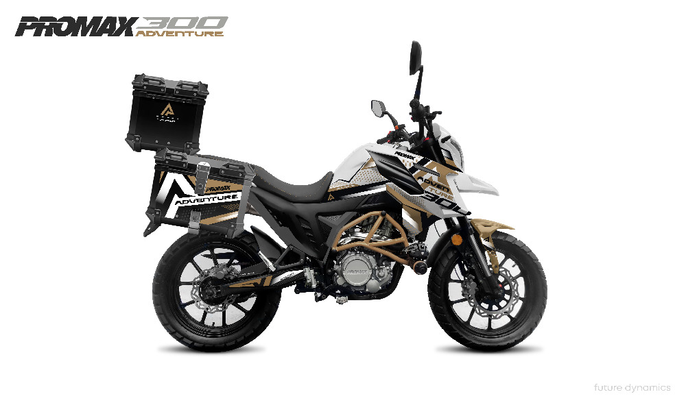 Мотоцикл PROMAX ADVENTURE 300 PRO EFI (NB300)
