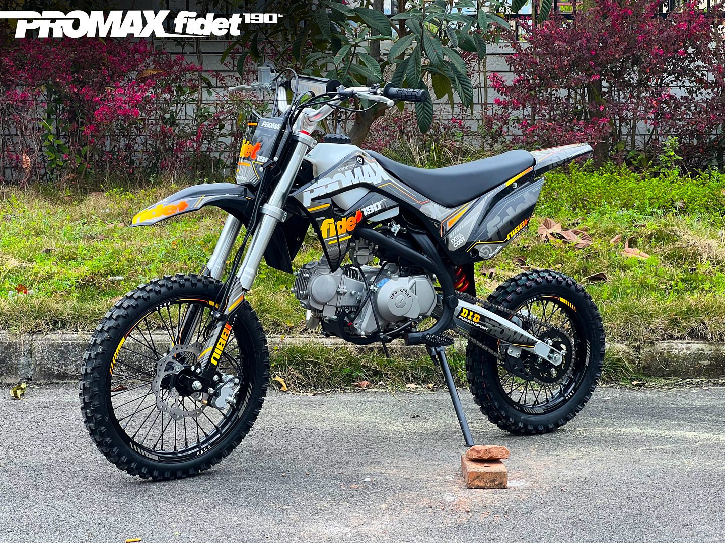 Мотоцикл (питбайк) PROMAX FIDET (ФАЙДЕТ) 190E 17/14