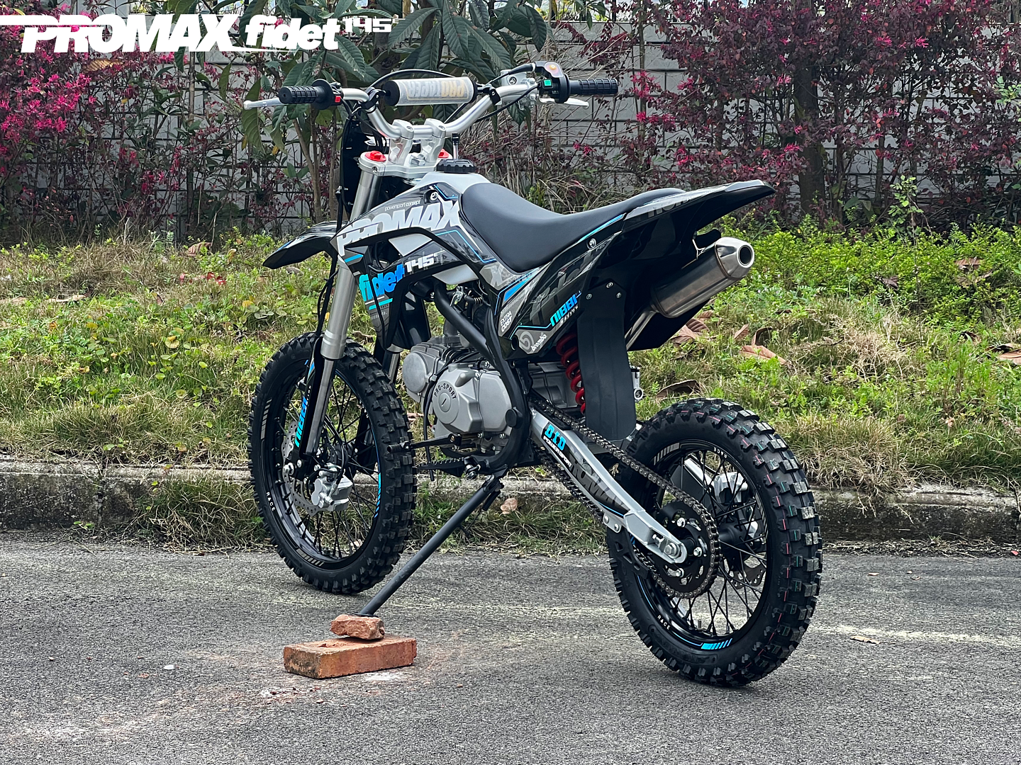 Мотоцикл (питбайк) PROMAX FIDET (ФАЙДЕТ) 145E 17/14