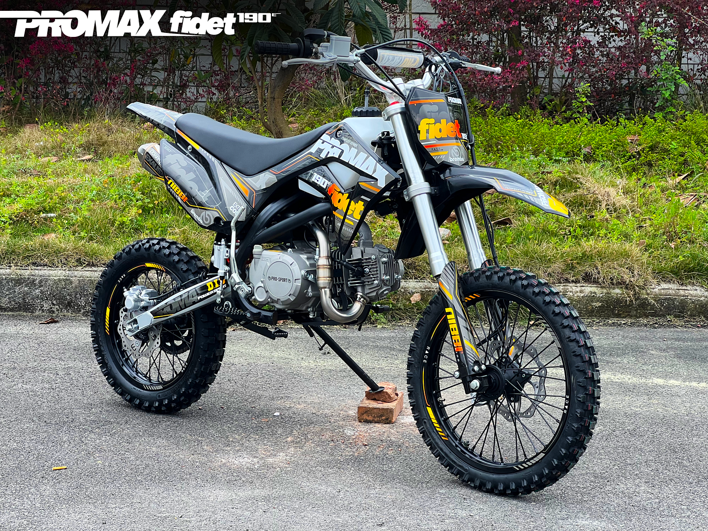 Мотоцикл (питбайк) PROMAX FIDET (ФАЙДЕТ) 190E 17/14