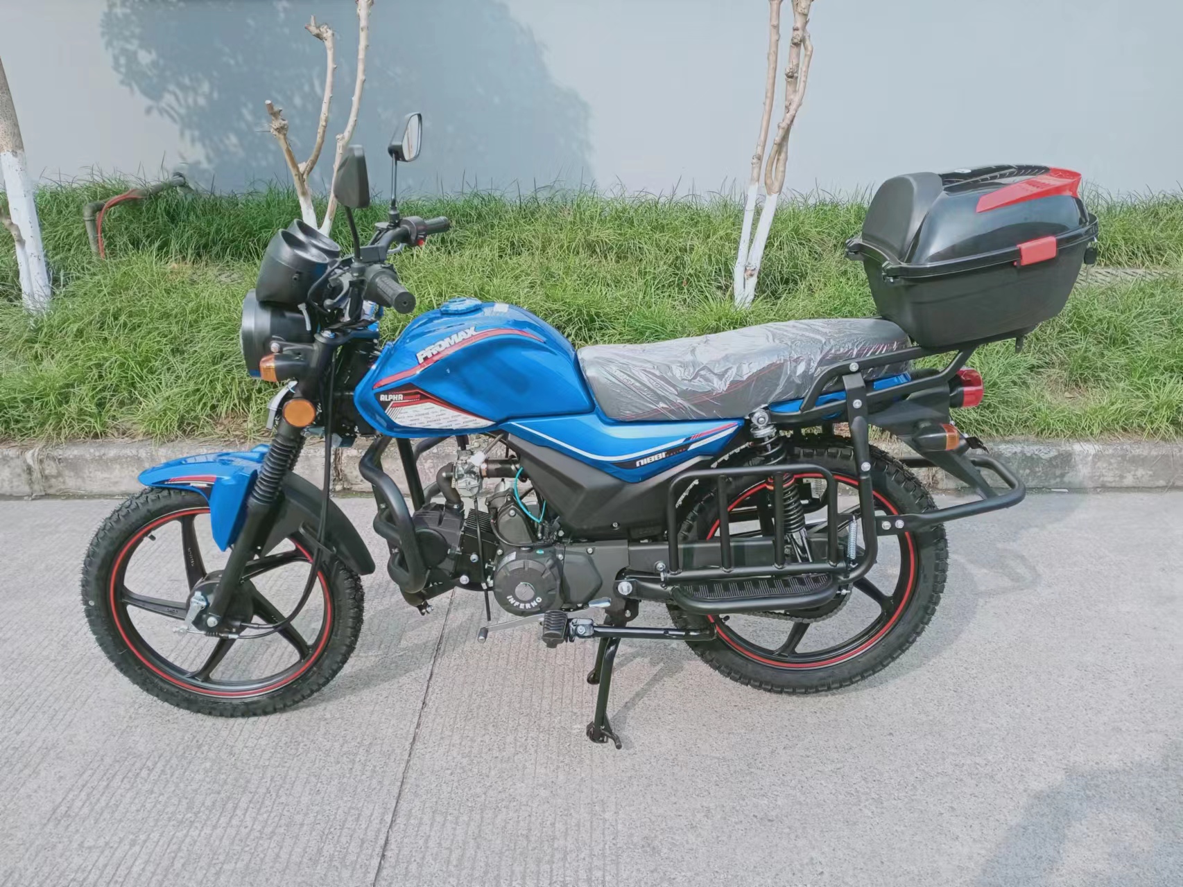 Мопед PROMAX ALPHA TOURIST 150 (49)