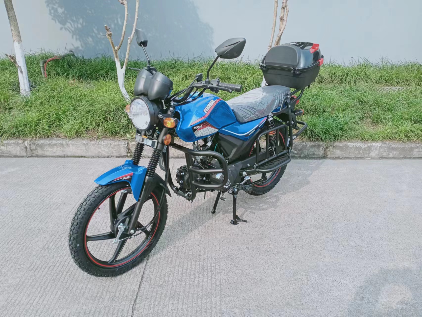 Мопед PROMAX ALPHA TOURIST 150 (49)