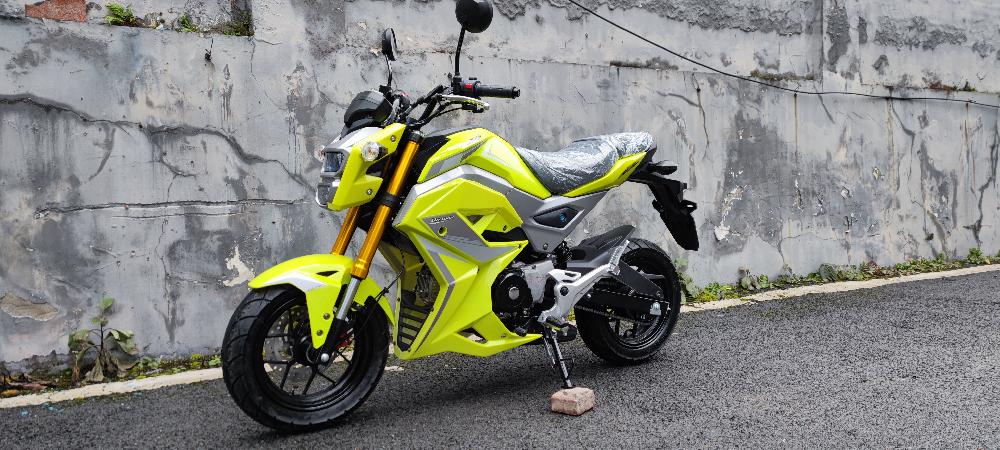 Мотоцикл PROMAX STRYKER 200(49)