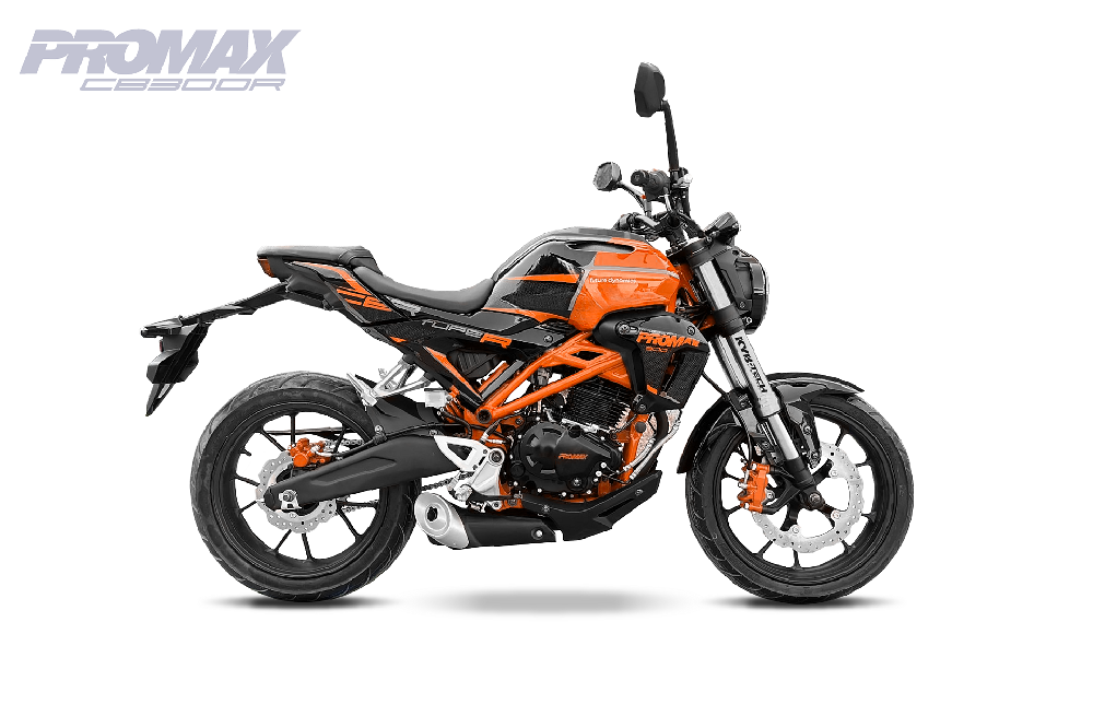 Мотоцикл PROMAX CB300 EFI