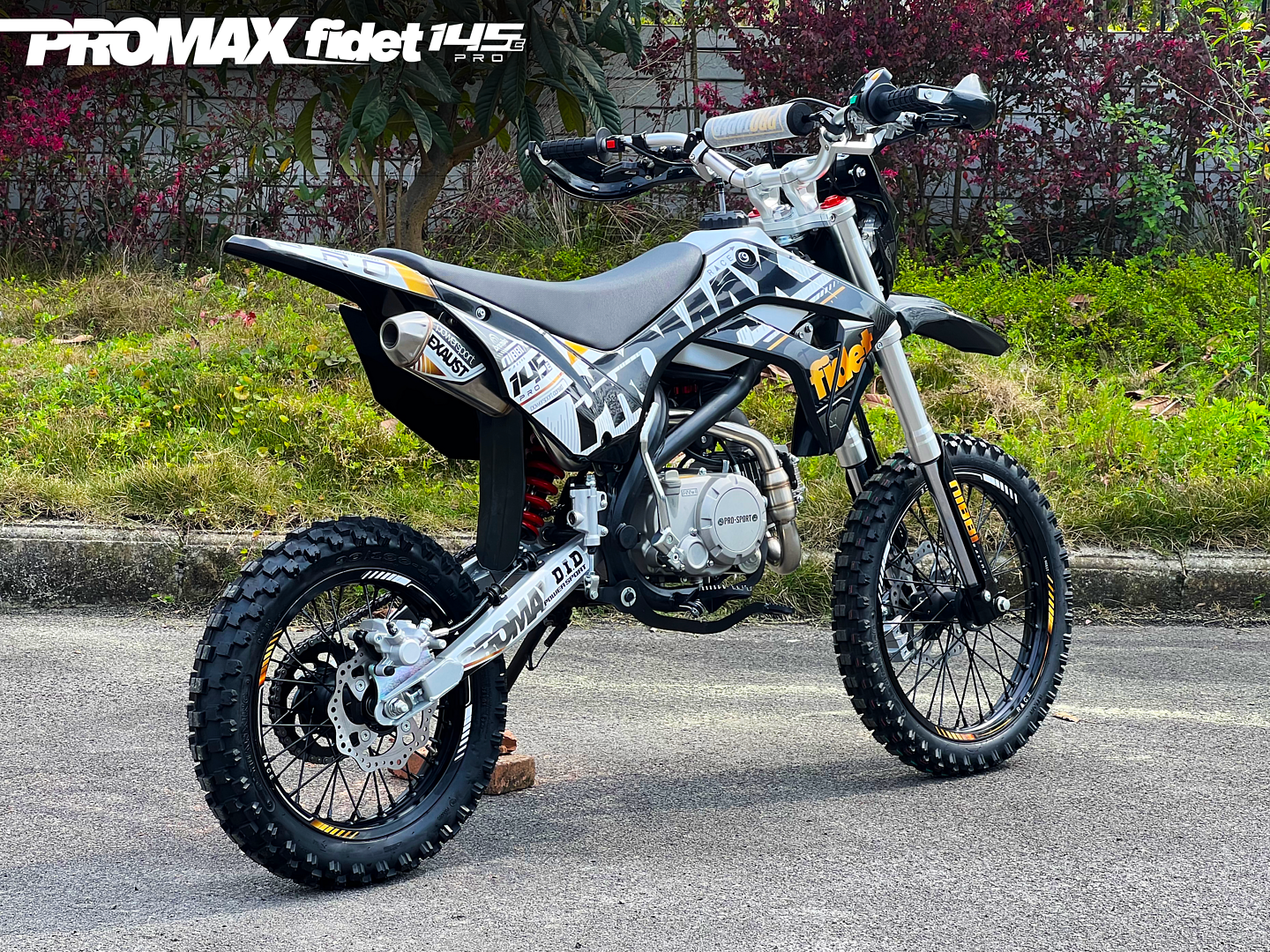 Мотоцикл (питбайк) PROMAX FIDET (ФАЙДЕТ) 145E PRO 17/14
