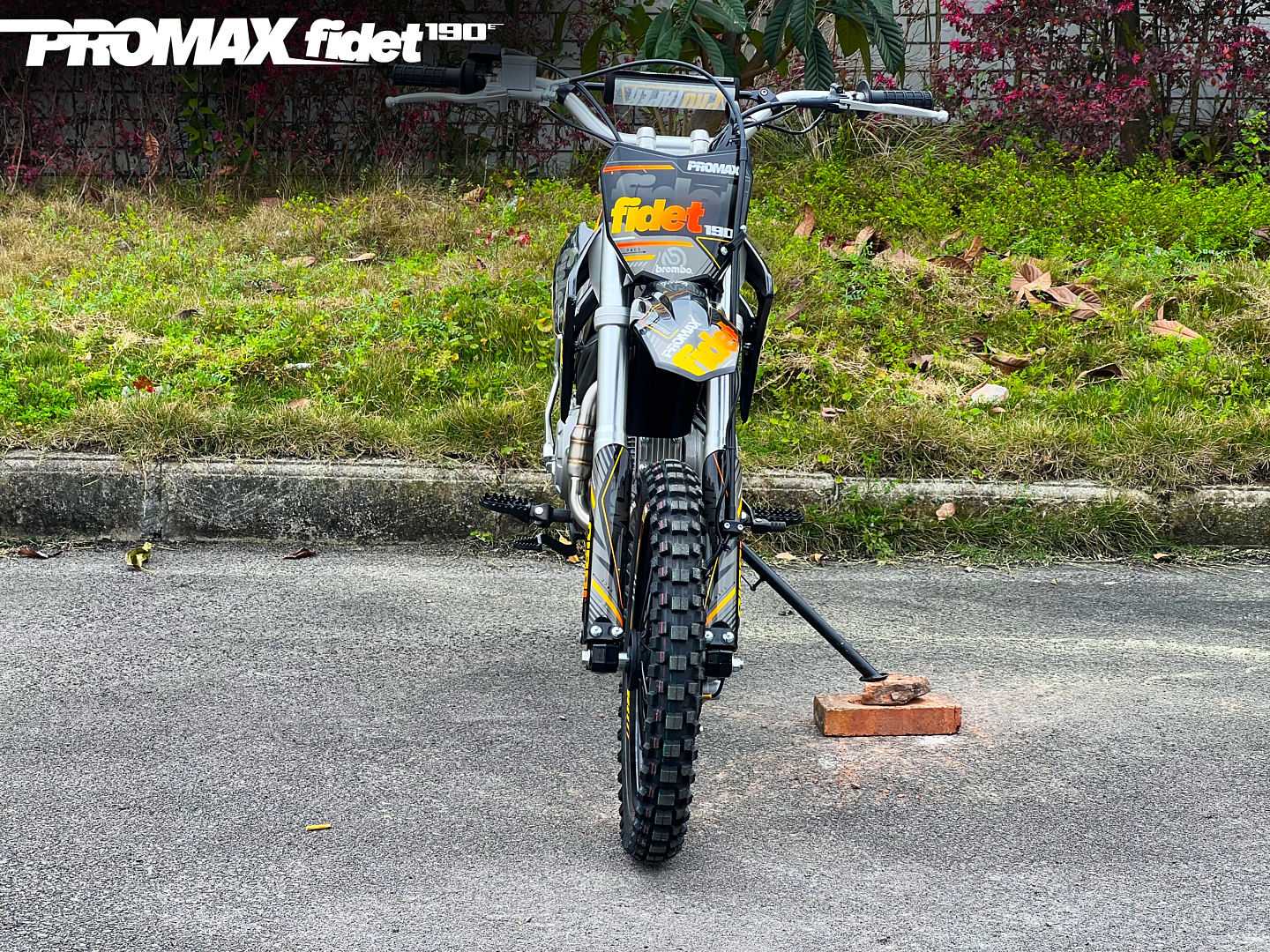 Мотоцикл (питбайк) PROMAX FIDET (ФАЙДЕТ) 190E 17/14