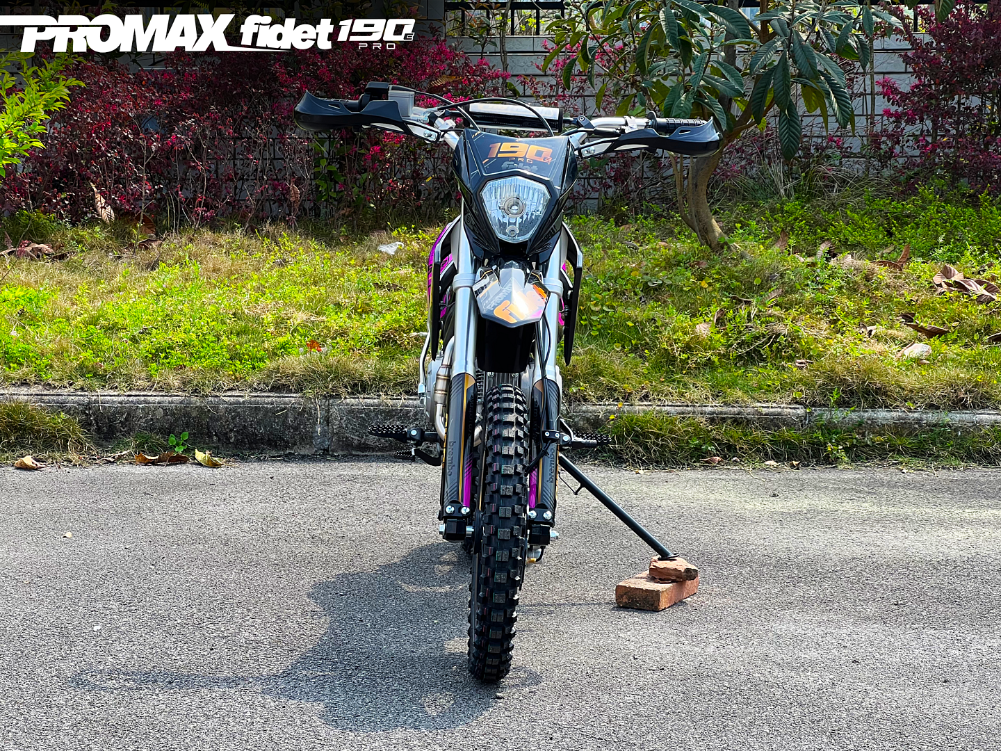 Мотоцикл (питбайк) PROMAX FIDET (ФАЙДЕТ) 190E PRO 17/14