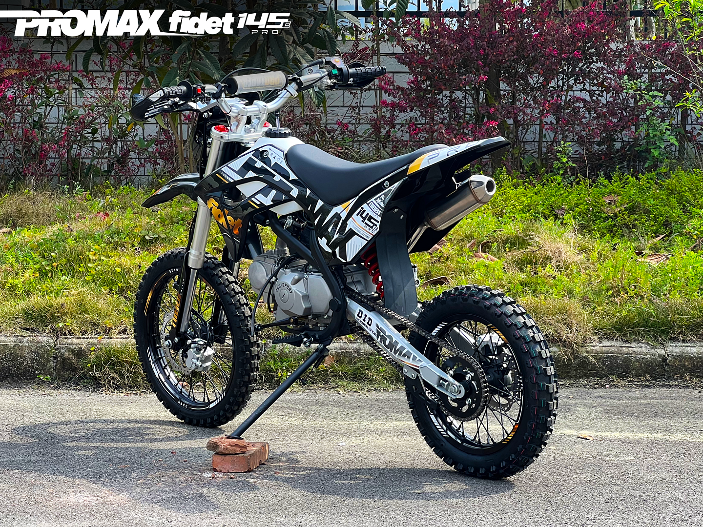 Мотоцикл (питбайк) PROMAX FIDET (ФАЙДЕТ) 145E PRO 17/14