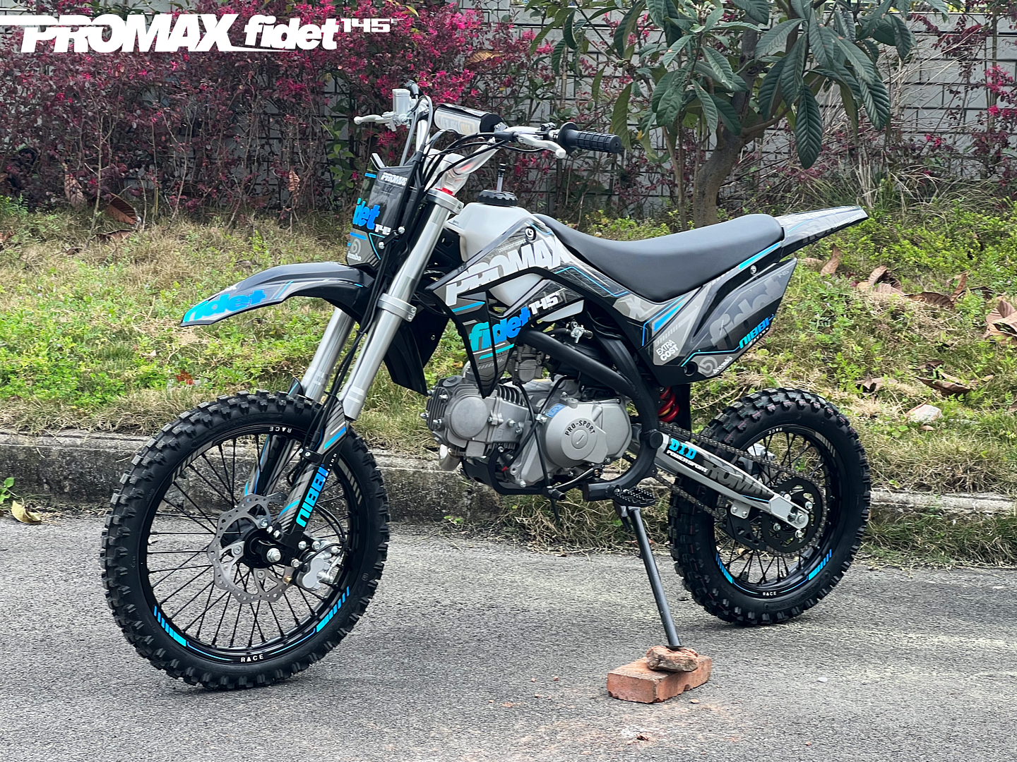 Мотоцикл (питбайк) PROMAX FIDET (ФАЙДЕТ) 145E 17/14