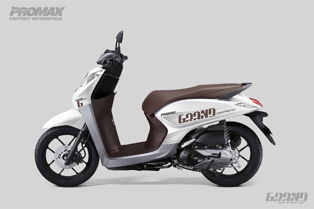Скутер PROMAX Grand 240(49)