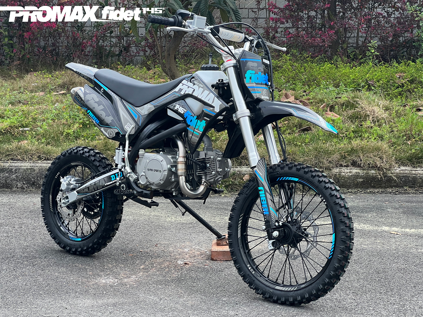 Мотоцикл (питбайк) PROMAX FIDET (ФАЙДЕТ) 145E 17/14