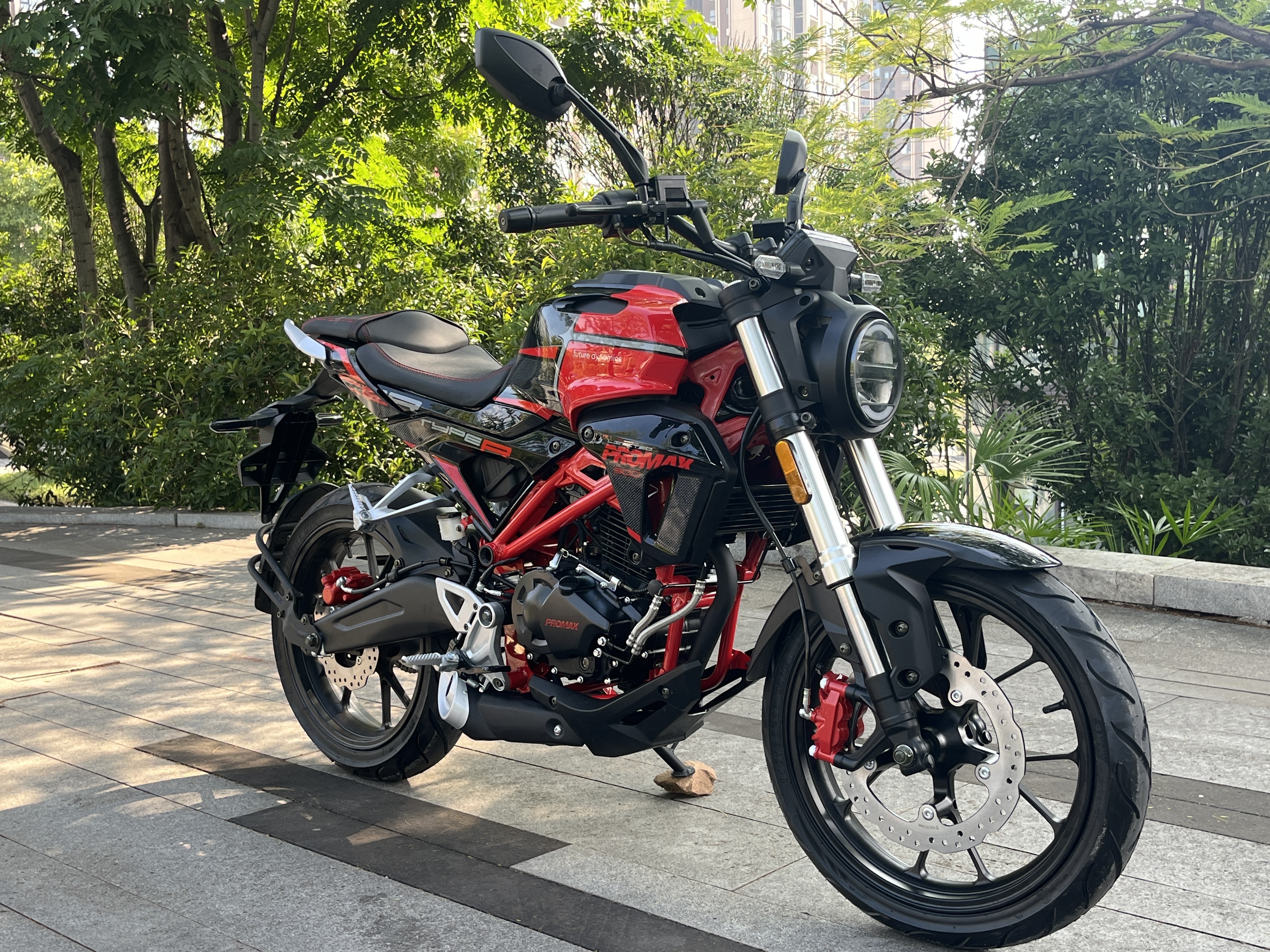 Мотоцикл PROMAX CB300 EFI