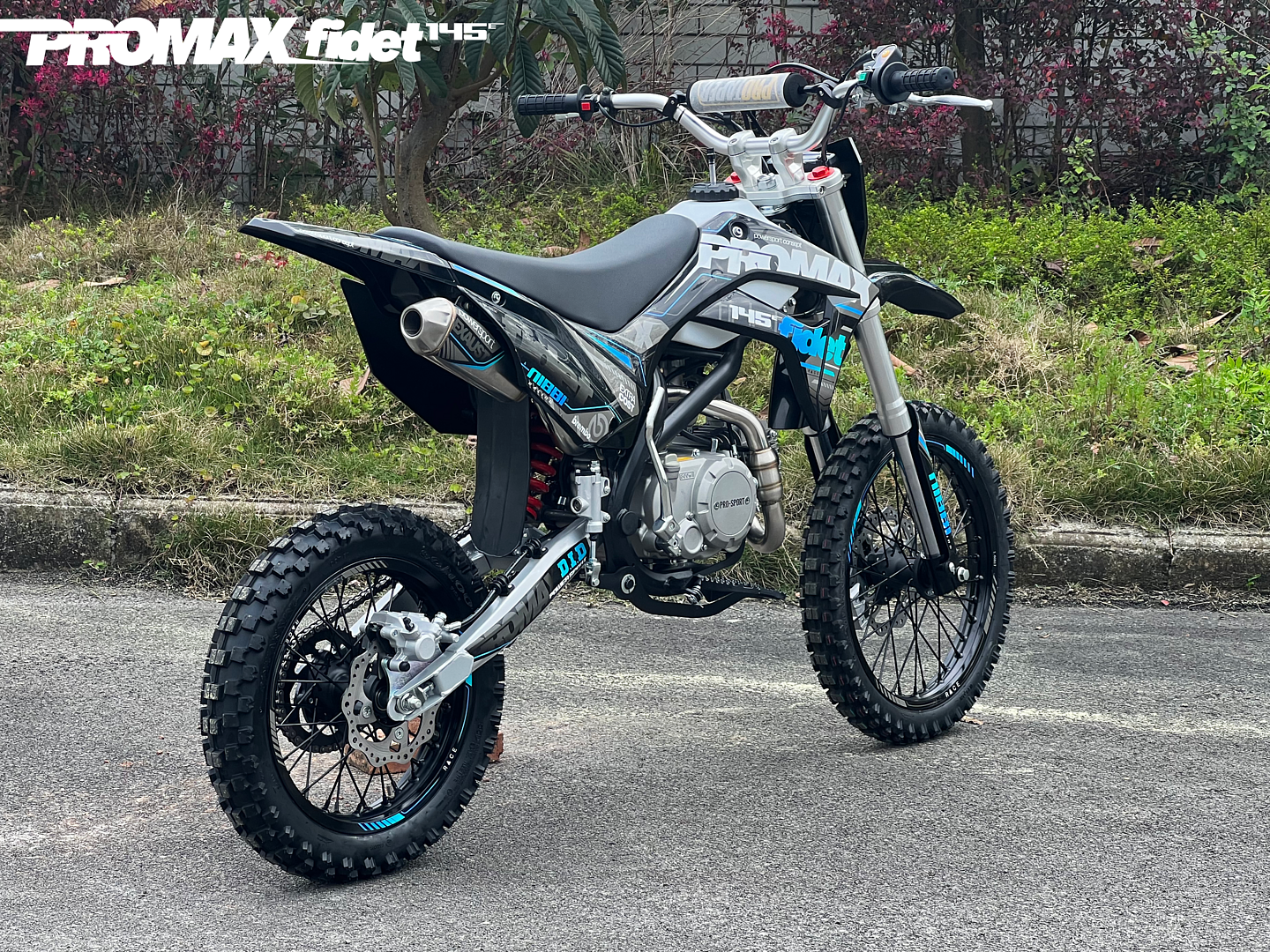 Мотоцикл (питбайк) PROMAX FIDET (ФАЙДЕТ) 145E 17/14