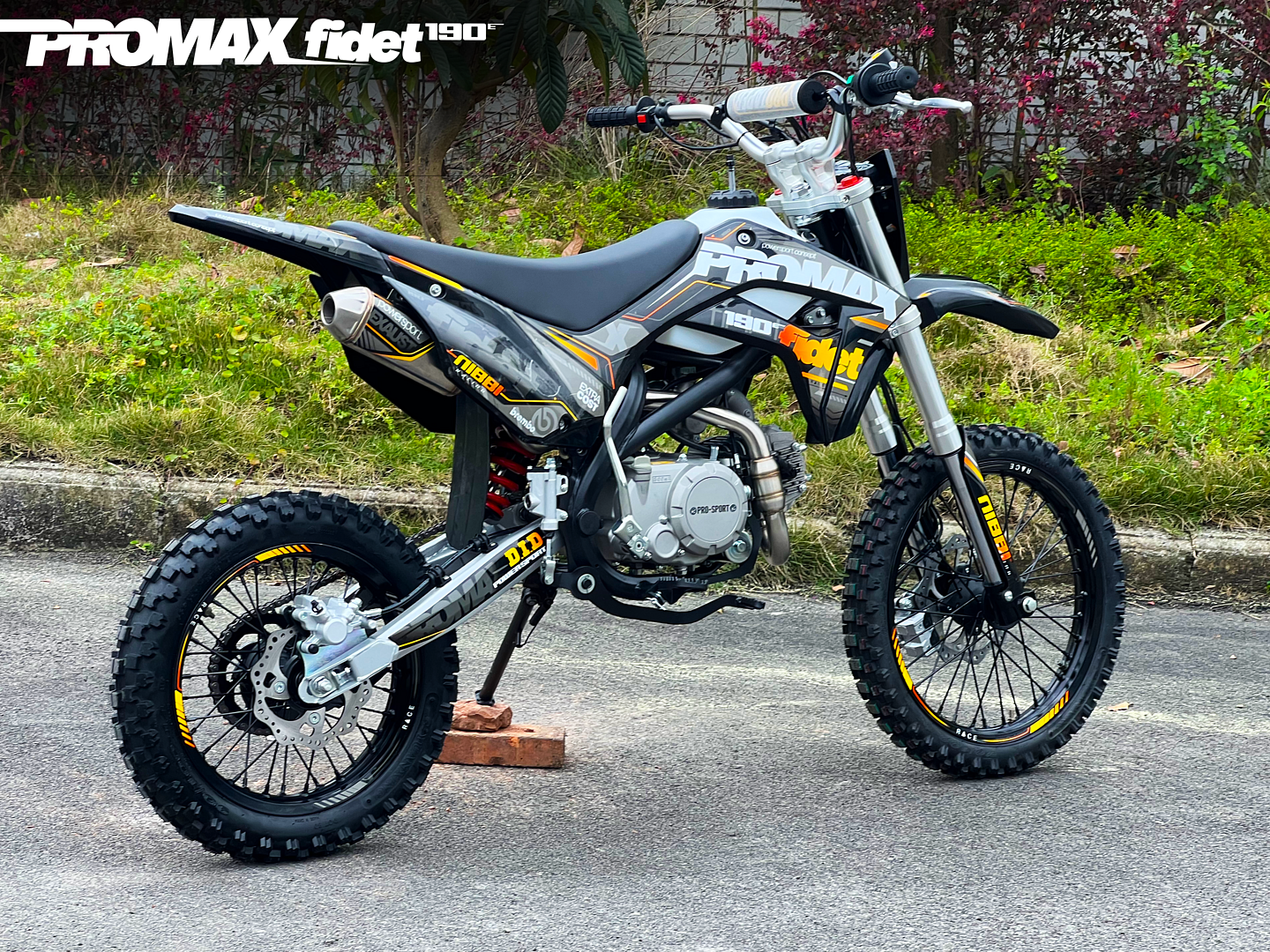 Мотоцикл (питбайк) PROMAX FIDET (ФАЙДЕТ) 190E 17/14
