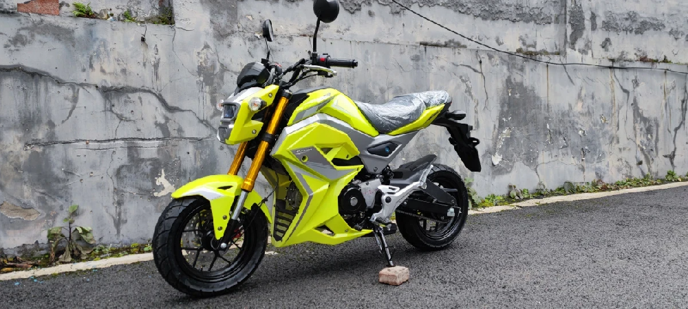 Мотоцикл PROMAX STRYKER 150(49) 2.0