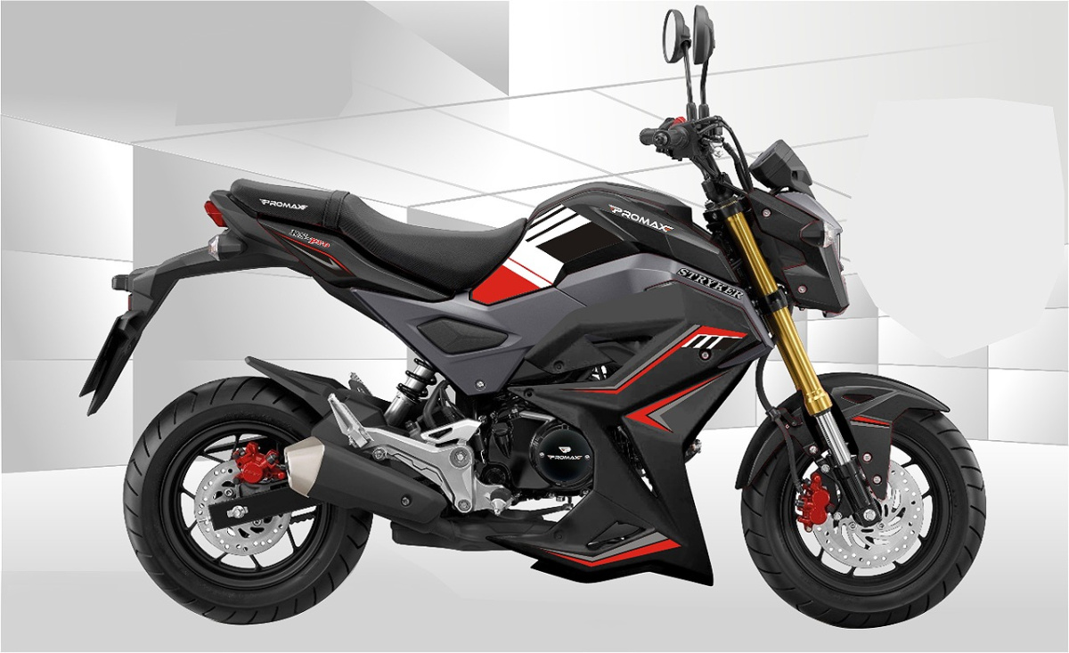 Мотоцикл PROMAX STRYKER 150(49) 2.0
