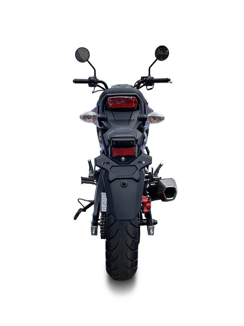 Мотоцикл PROMAX STRYKER 200(49)