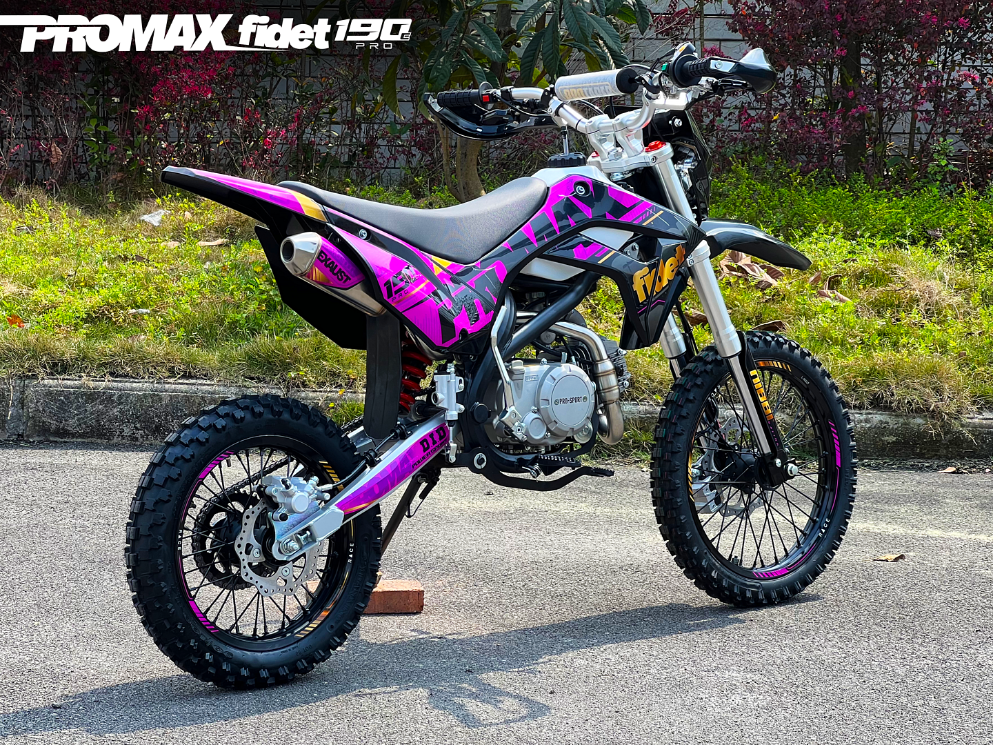 Мотоцикл (питбайк) PROMAX FIDET (ФАЙДЕТ) 190E PRO 17/14