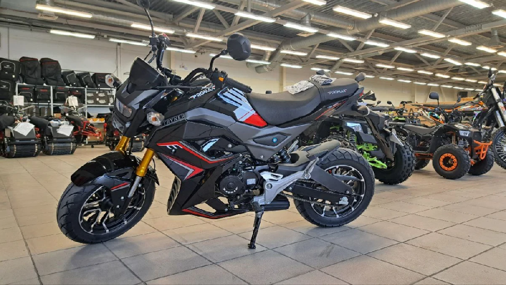 Мотоцикл PROMAX STRYKER 150(49) 2.0