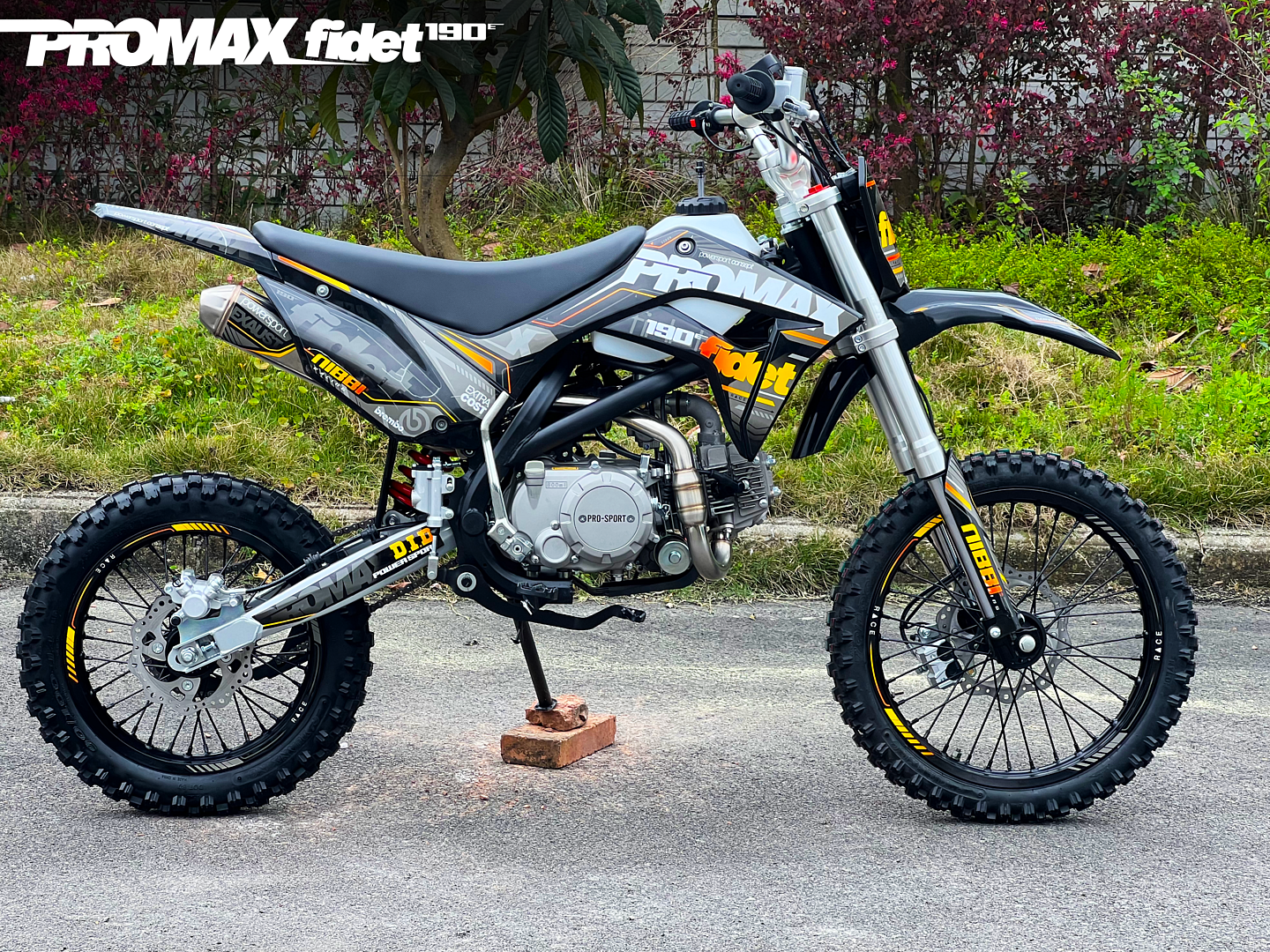 Мотоцикл (питбайк) PROMAX FIDET (ФАЙДЕТ) 190E 17/14