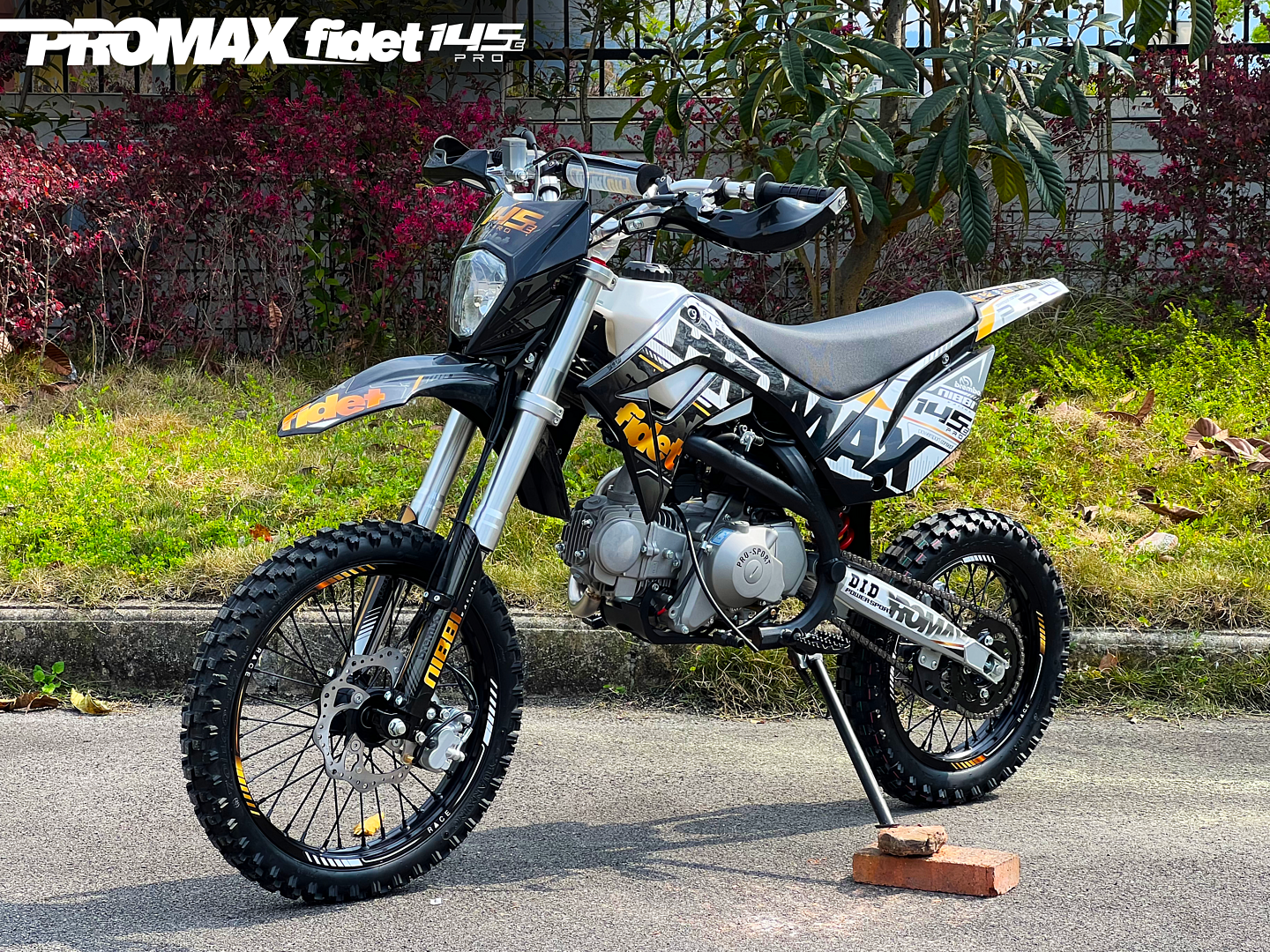 Мотоцикл (питбайк) PROMAX FIDET (ФАЙДЕТ) 145E PRO 17/14