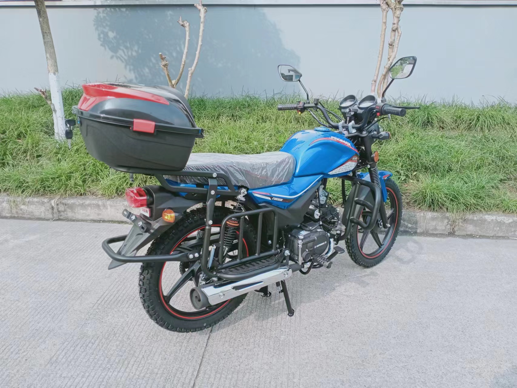Мопед PROMAX ALPHA TOURIST 150 (49)
