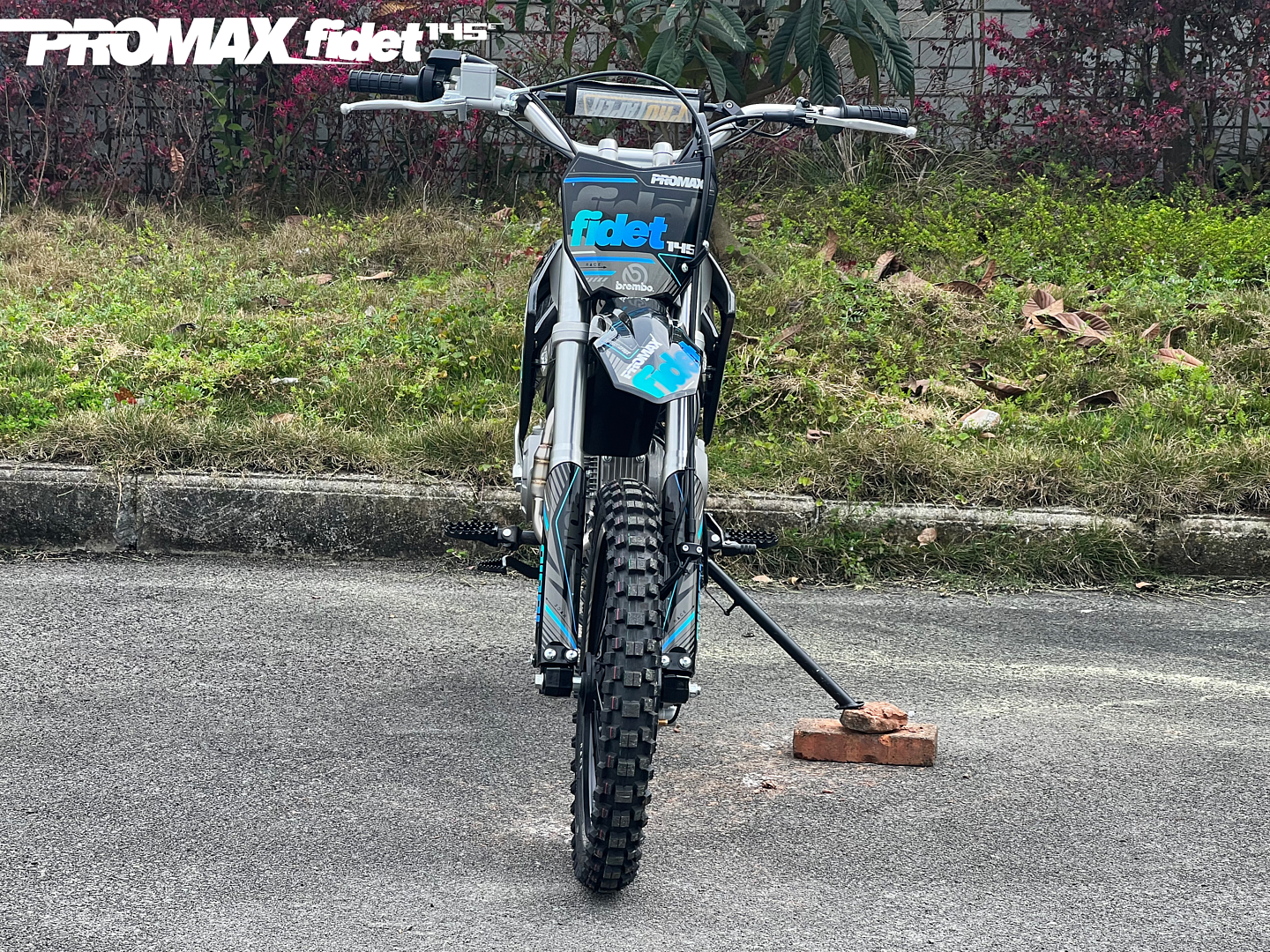 Мотоцикл (питбайк) PROMAX FIDET (ФАЙДЕТ) 145E 17/14