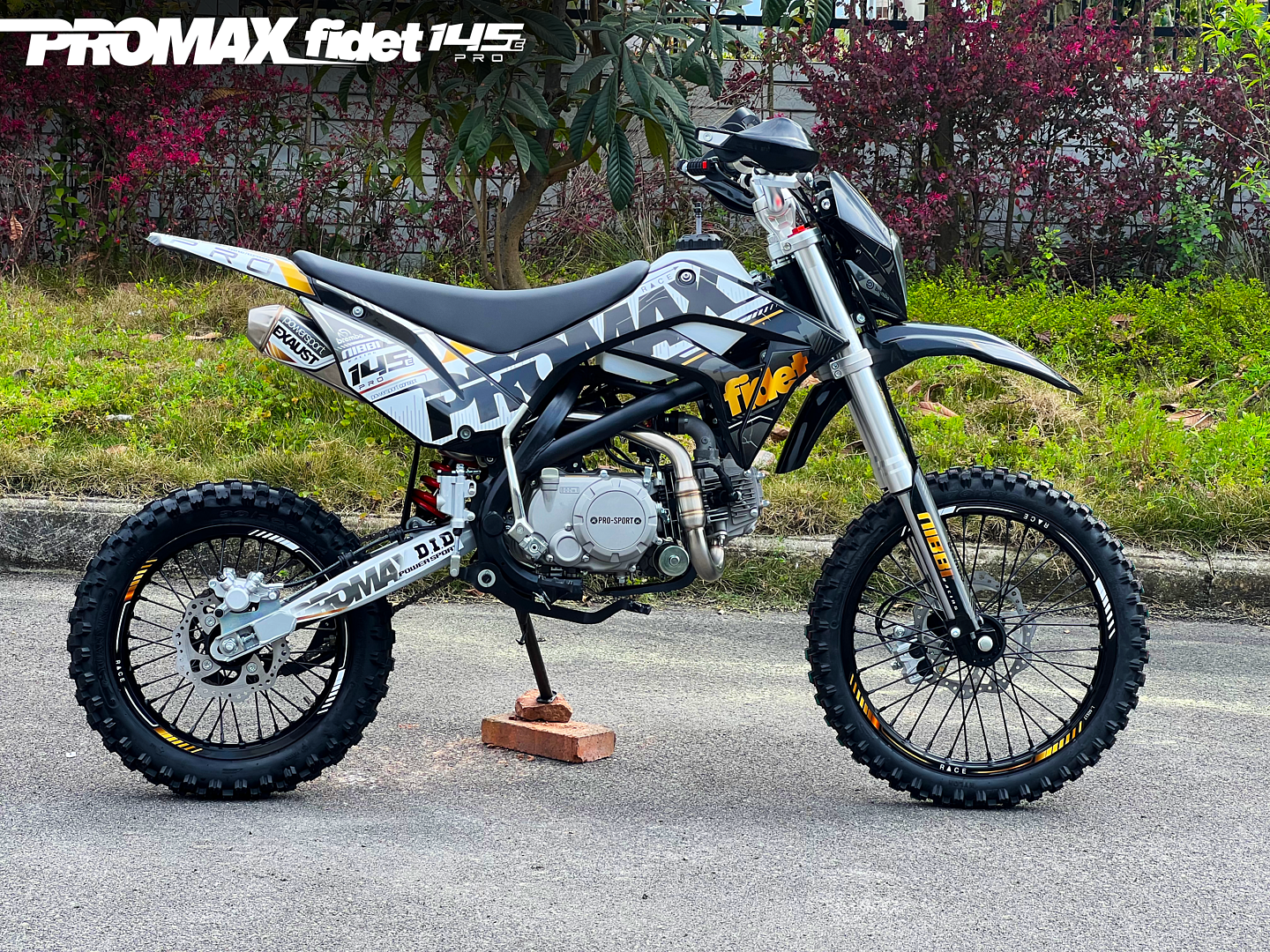 Мотоцикл (питбайк) PROMAX FIDET (ФАЙДЕТ) 145E PRO 17/14