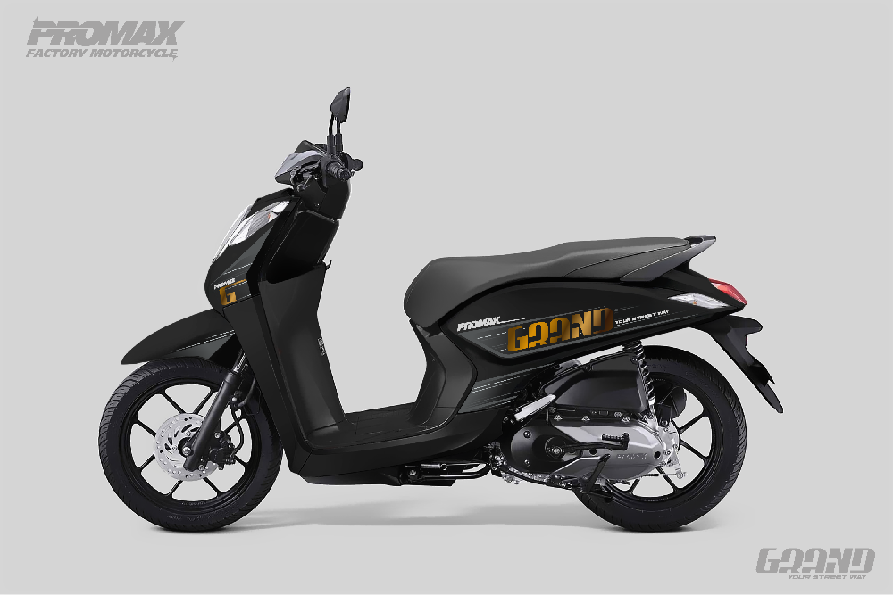 Скутер PROMAX Grand 240(49)
