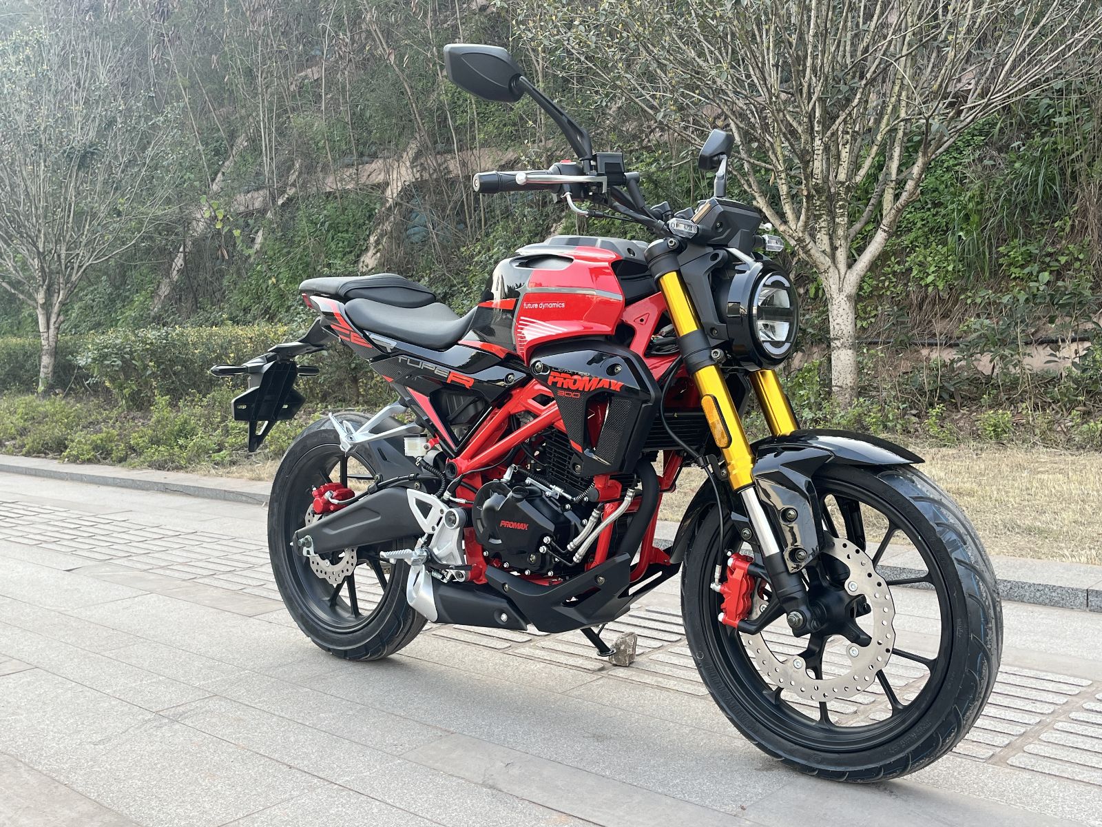 Мотоцикл PROMAX CB300 EFI