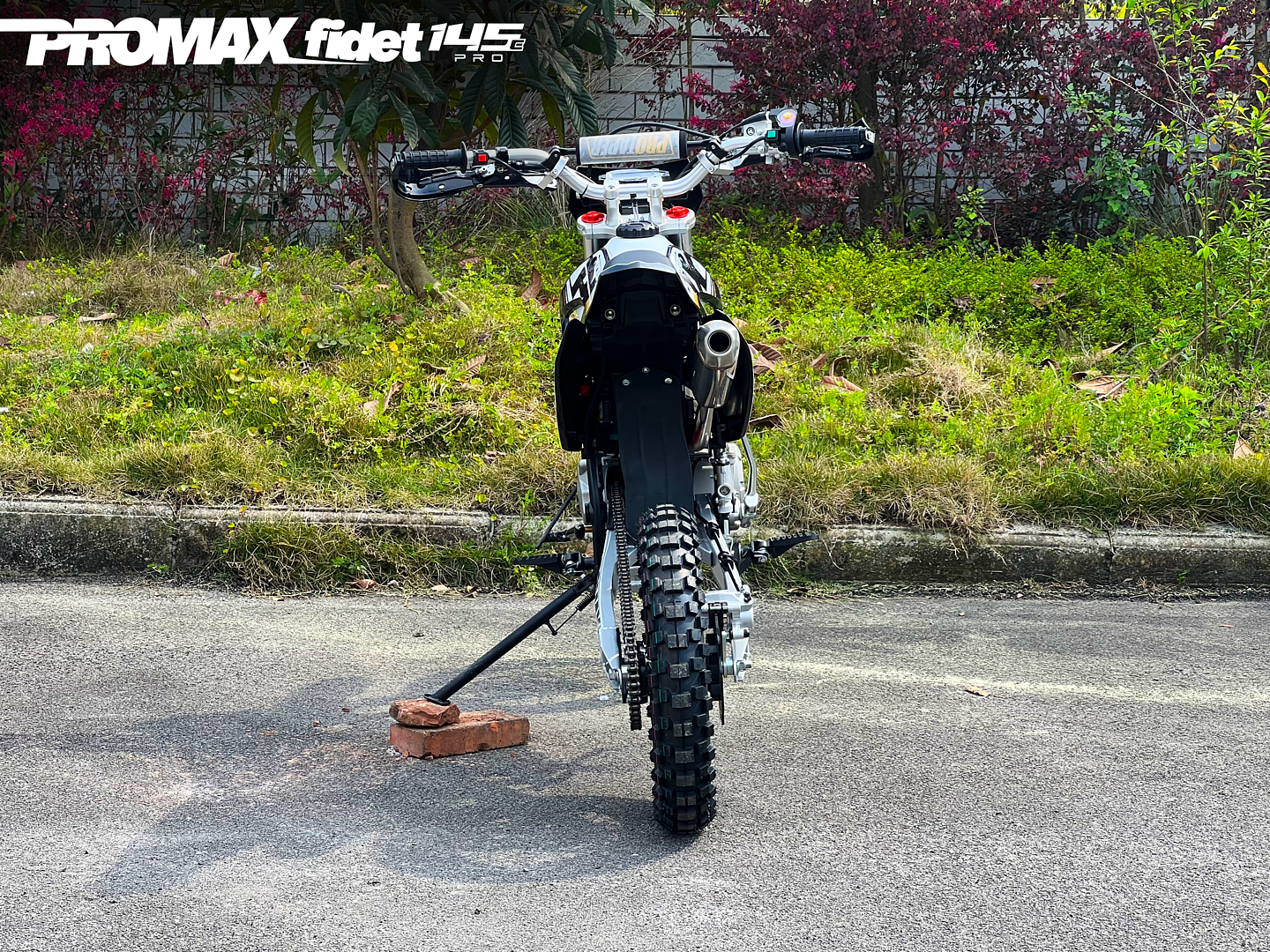 Мотоцикл (питбайк) PROMAX FIDET (ФАЙДЕТ) 145E PRO 17/14