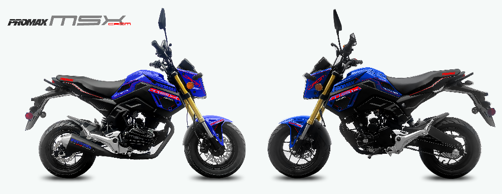 Мотоцикл PROMAX MSX200 CROM (49)