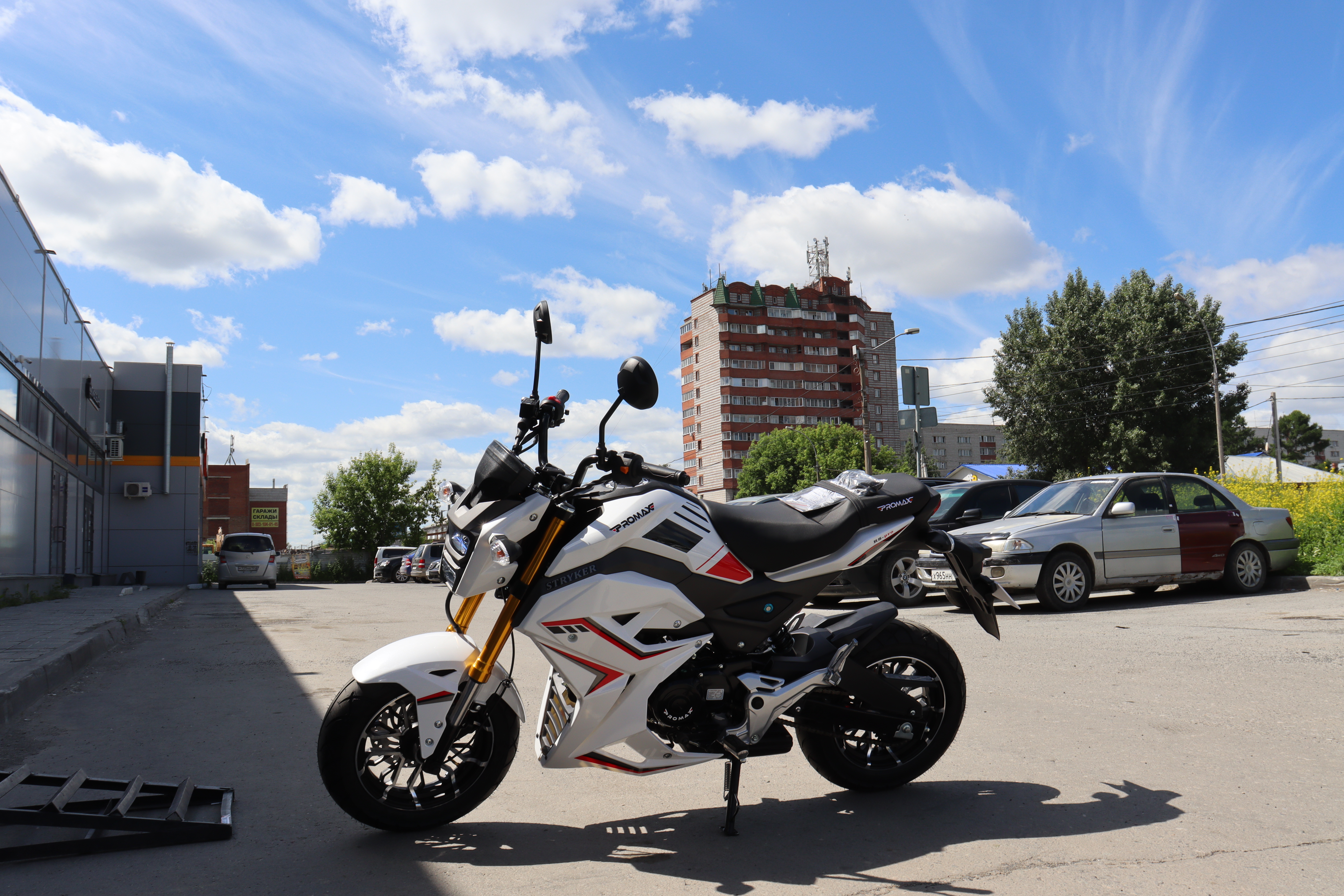 Мотоцикл PROMAX STRYKER 200(49)