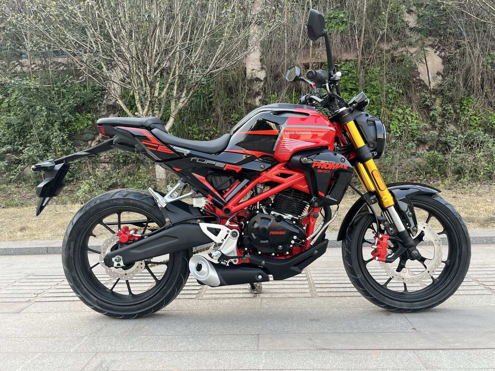 Мотоцикл PROMAX CB300 EFI