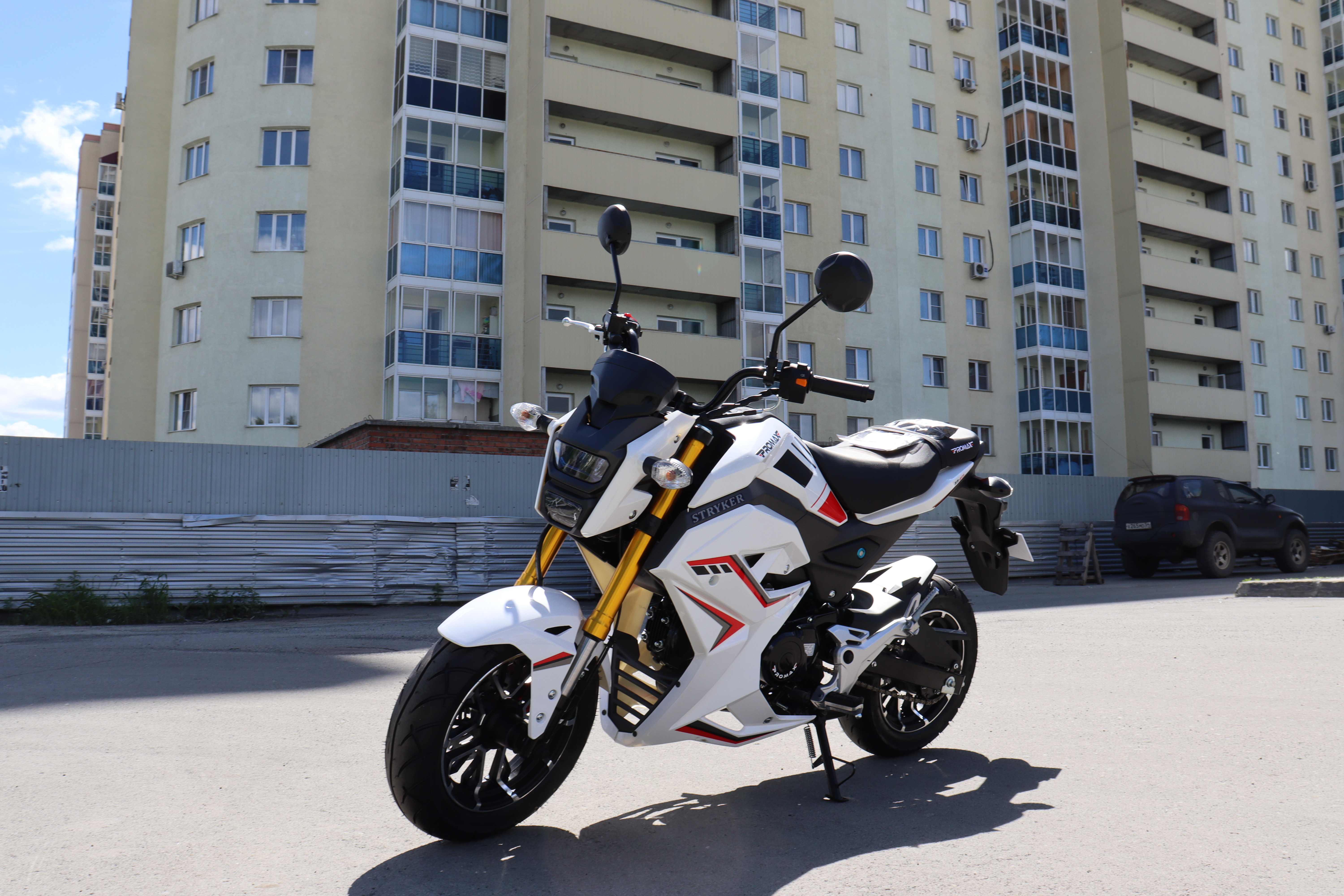 Мотоцикл PROMAX STRYKER 200(49)
