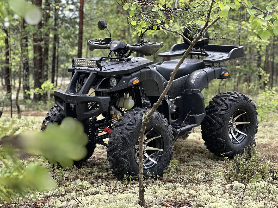 PROMAX 320 DOMINATOR (2025)