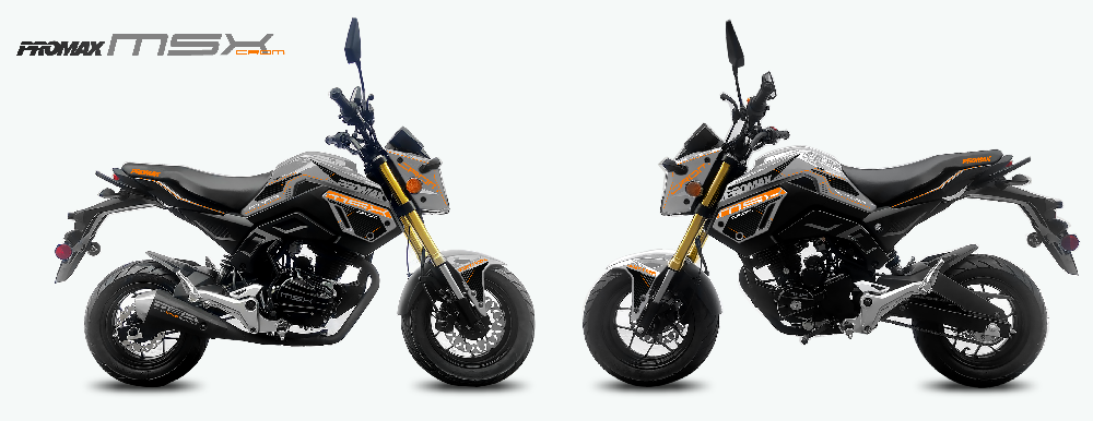 Мотоцикл PROMAX MSX200 CROM (49)