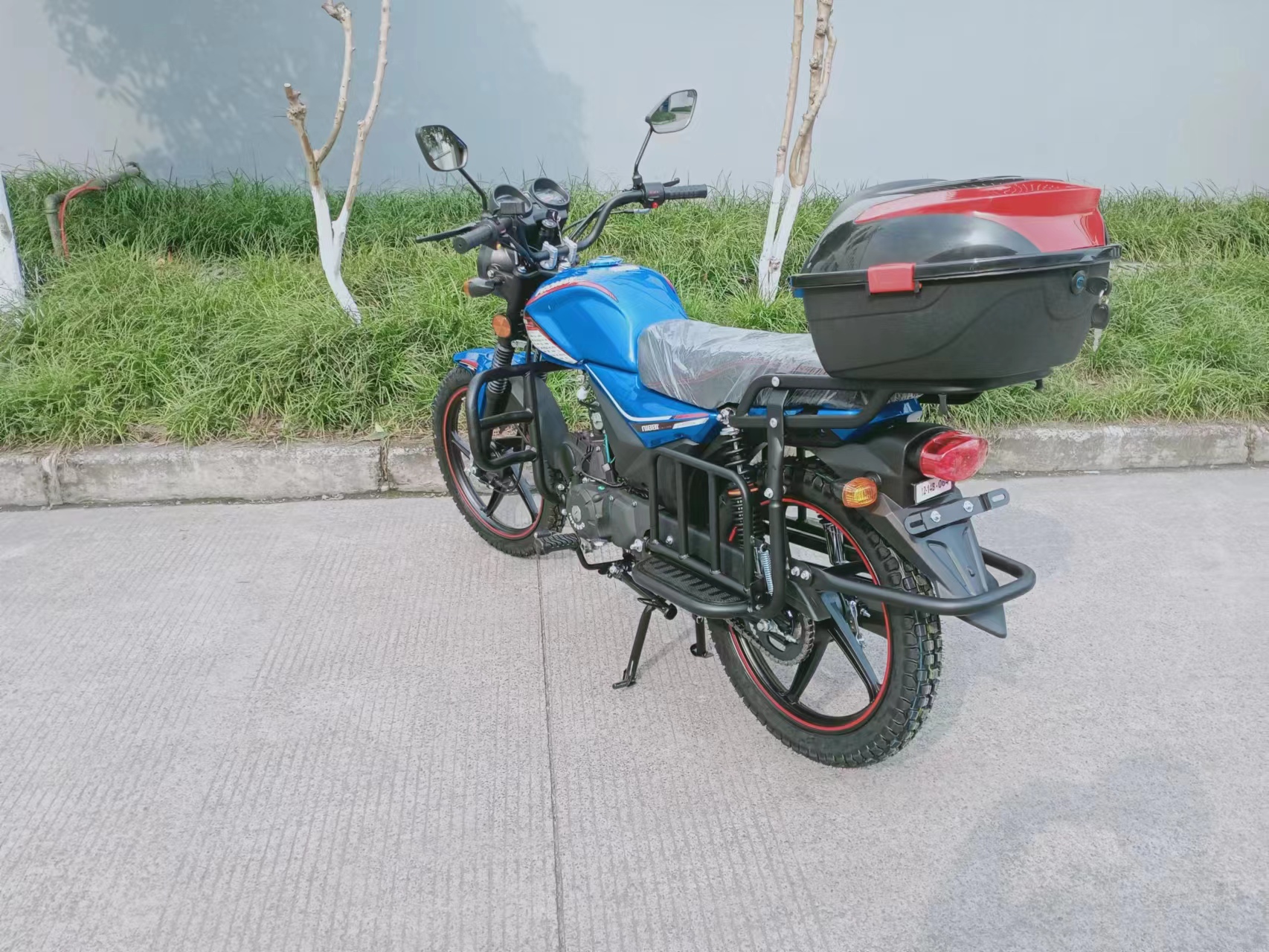 Мопед PROMAX ALPHA TOURIST 150 (49)