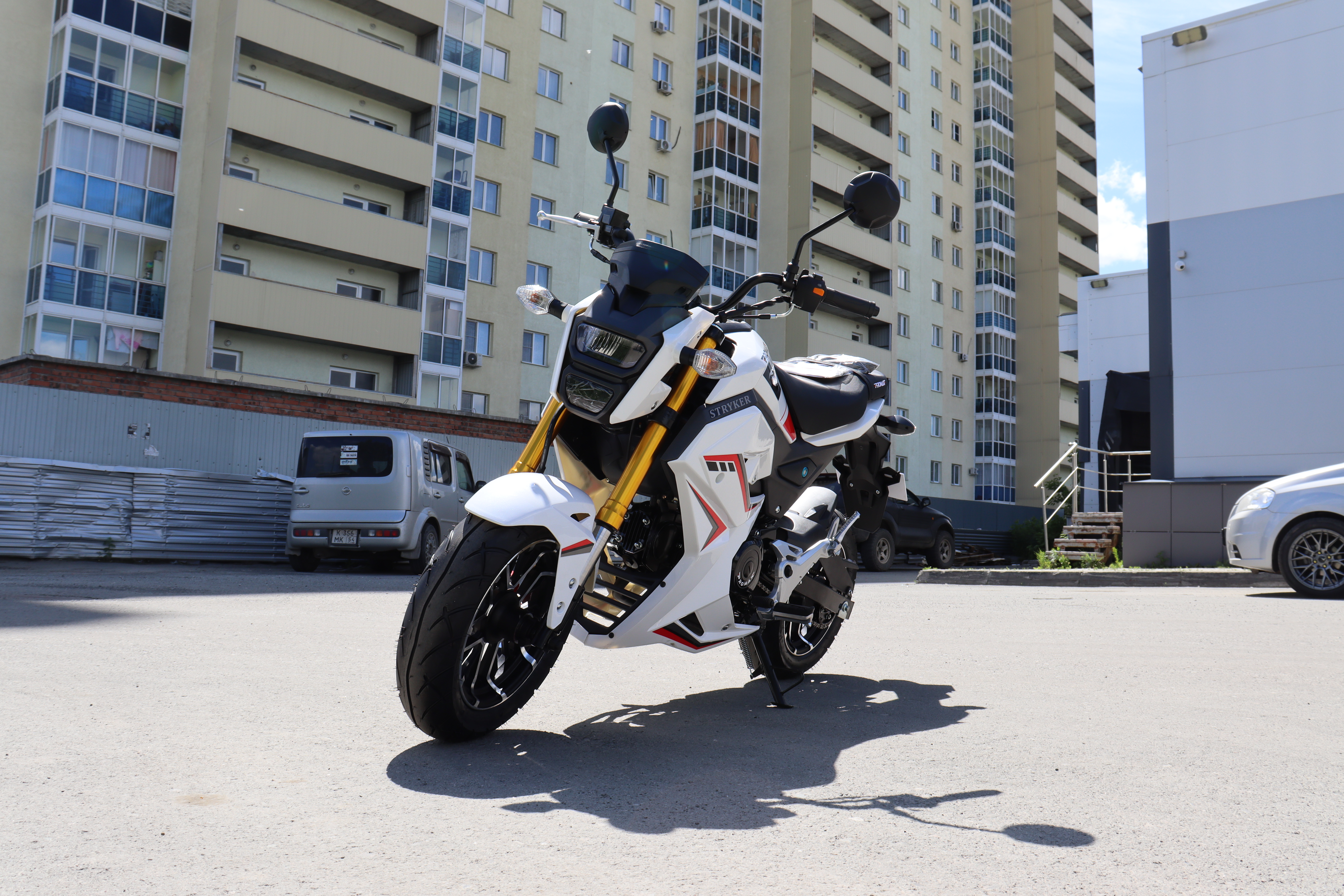 Мотоцикл PROMAX STRYKER 200(49)