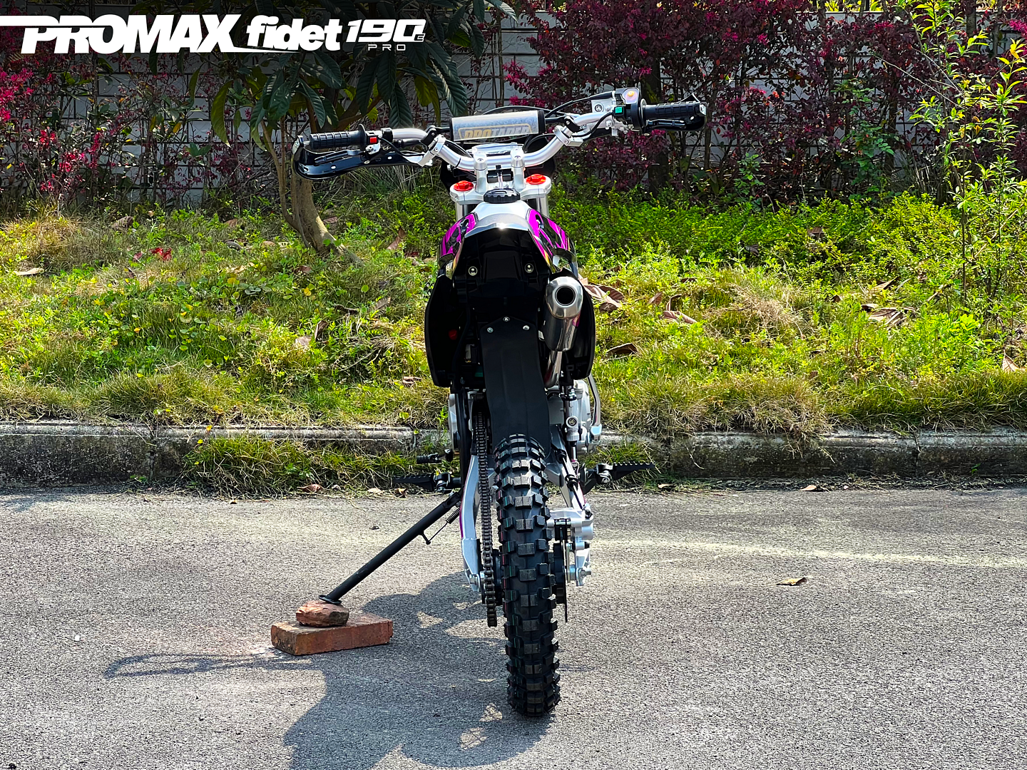 Мотоцикл (питбайк) PROMAX FIDET (ФАЙДЕТ) 190E PRO 17/14