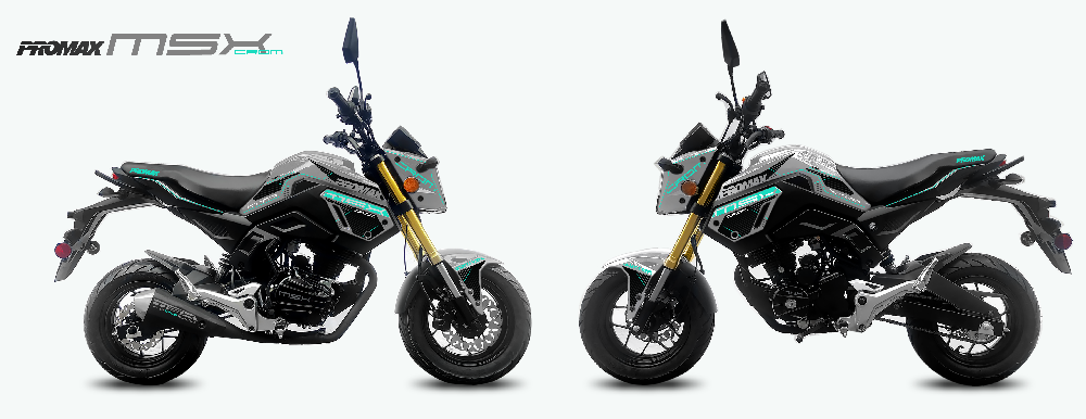 Мотоцикл PROMAX MSX200 CROM (49)