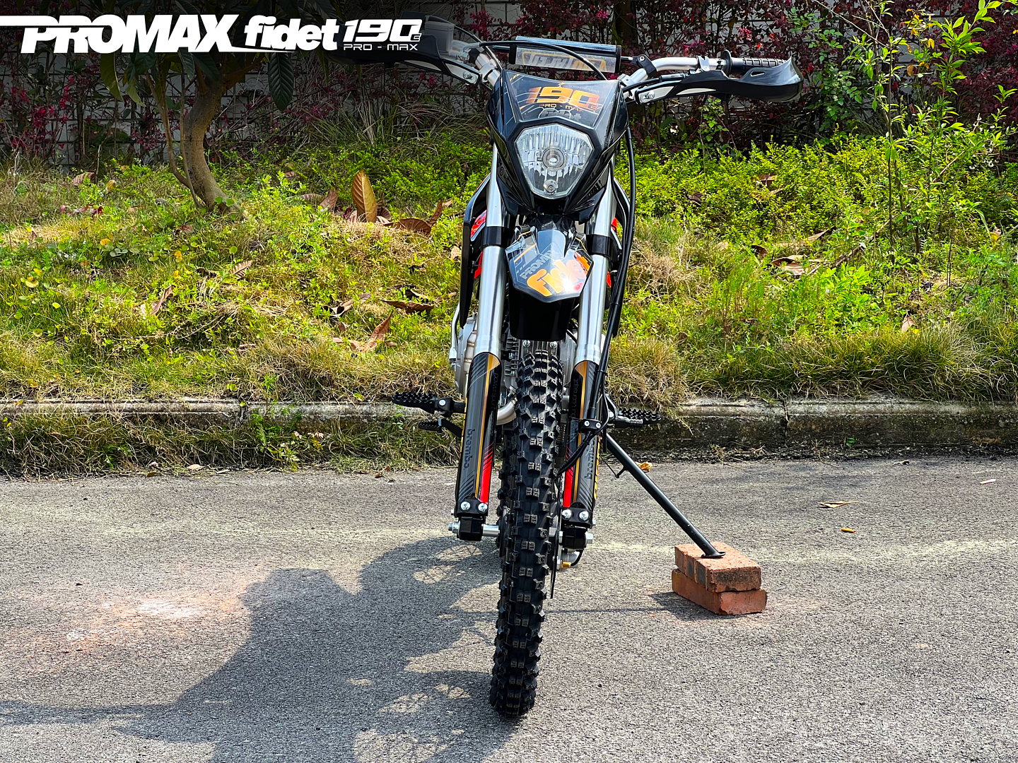 Мотоцикл (питбайк) PROMAX FIDET (ФАЙДЕТ) 190E MAX PRO LUX 19/16