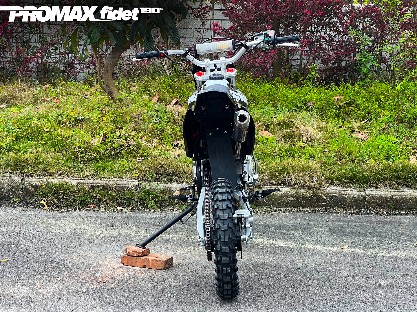 Мотоцикл (питбайк) PROMAX FIDET (ФАЙДЕТ) 190E 17/14
