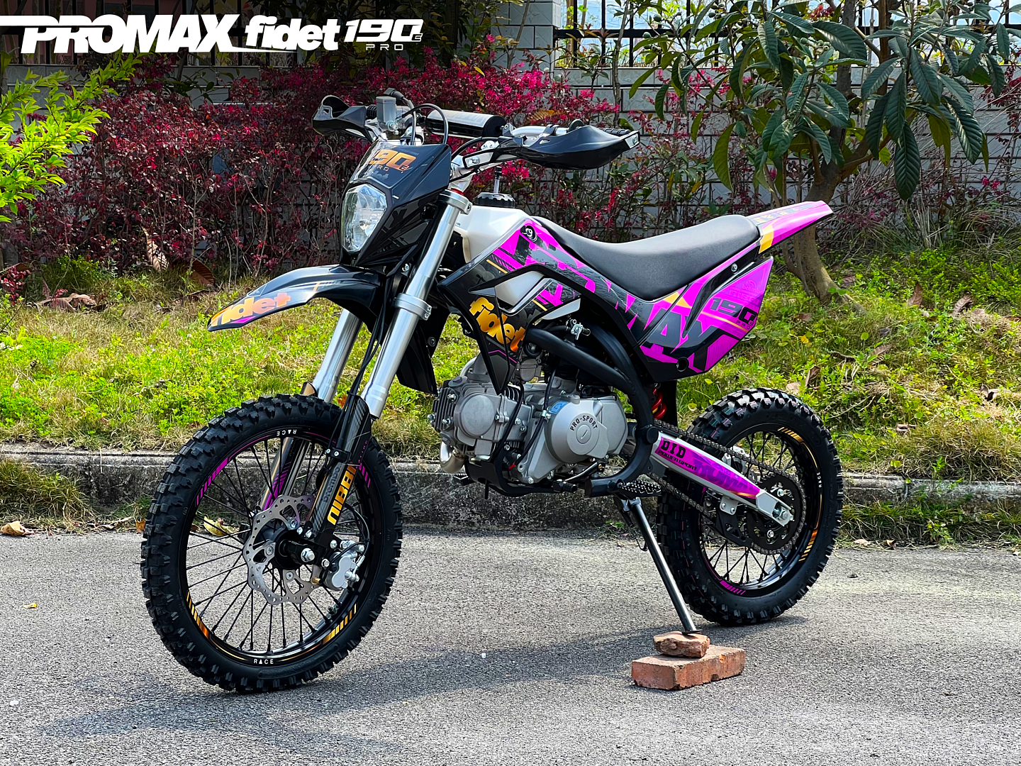 Мотоцикл (питбайк) PROMAX FIDET (ФАЙДЕТ) 190E PRO 17/14