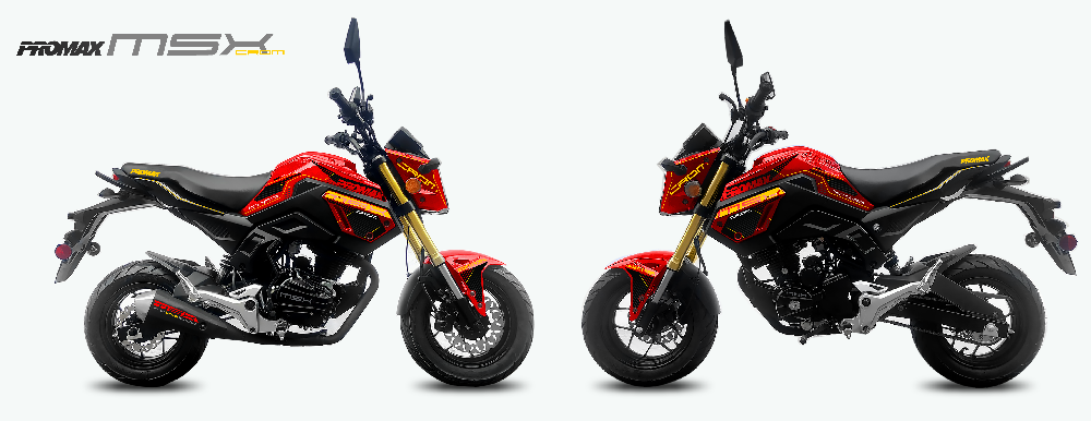 Мотоцикл PROMAX MSX200 CROM (49)