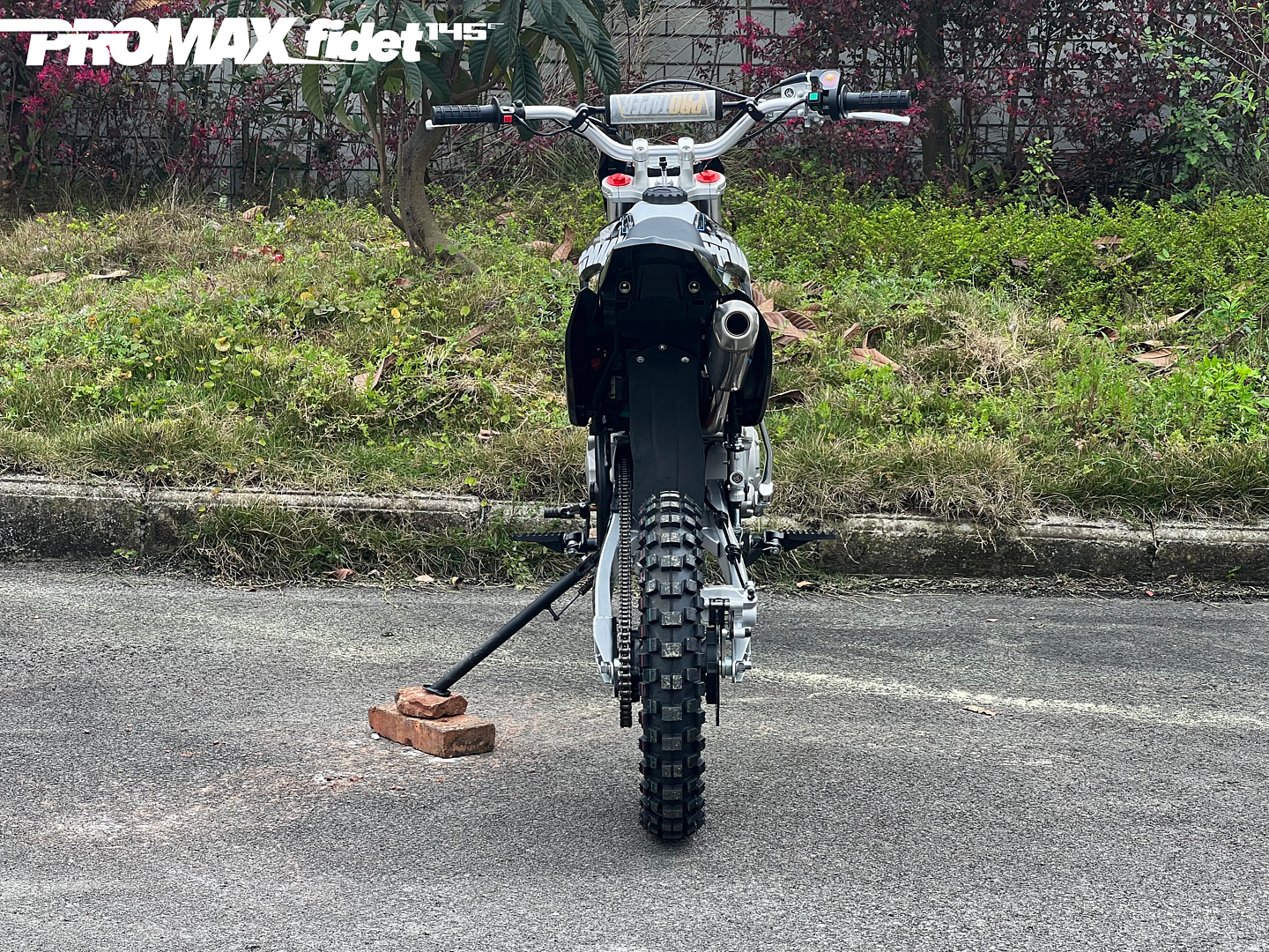 Мотоцикл (питбайк) PROMAX FIDET (ФАЙДЕТ) 145E 17/14