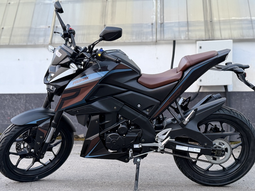 Мотоцикл PROMAX MT300