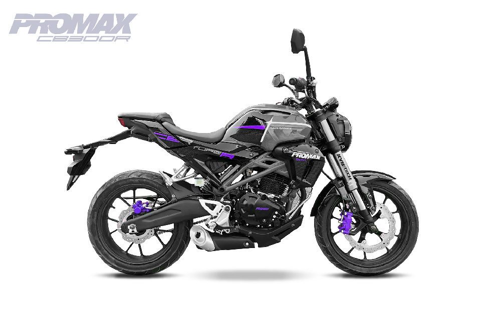 Мотоцикл PROMAX CB300 EFI
