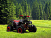 PROMAX WILD 190 PRO-LINE