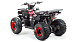 PROMAX Wild 175